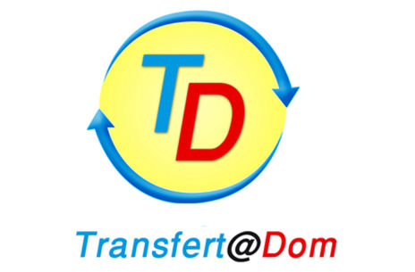 Logo transfert à domicile
